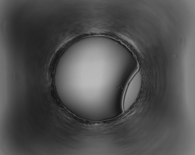 X0000097491160200802220835