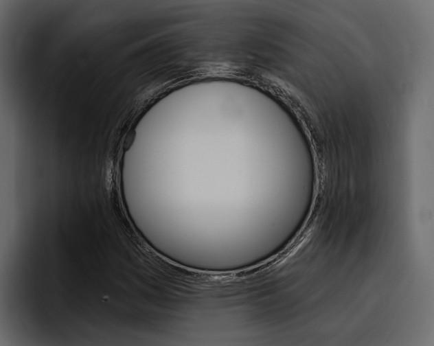 X0000097491161200802220835