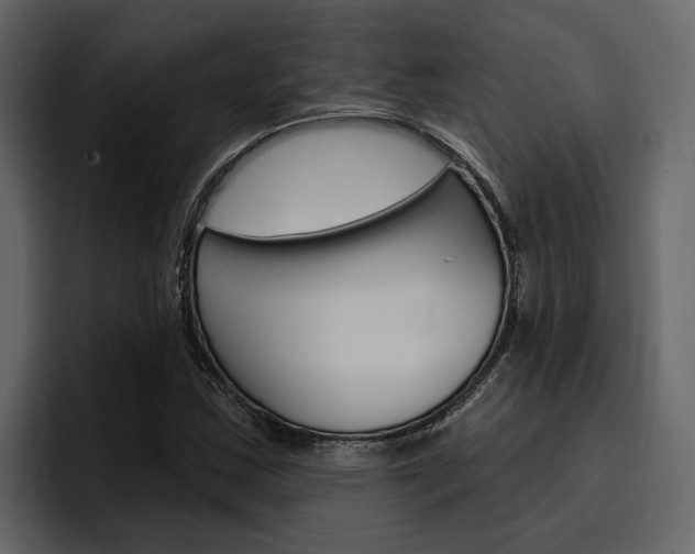X0000097491163200802220835
