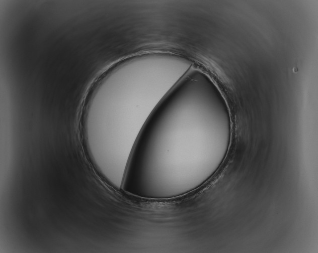 X0000097491164200802220835
