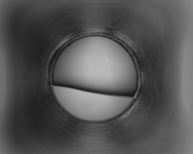X0000097491165200802220835