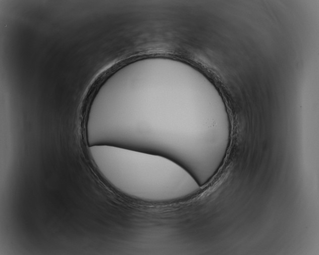X0000097491166200802220835