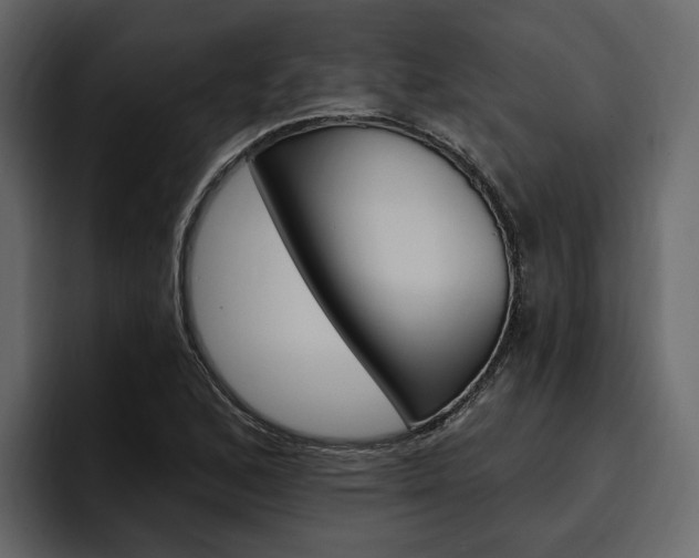 X0000097491168200802220835