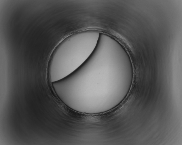 X0000097491170200802220834