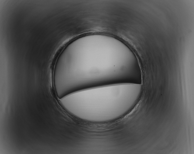X0000097491171200802220834