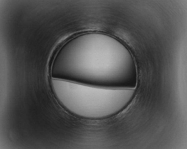 X0000097491172200802220834
