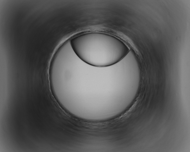 X0000097491176200802220834