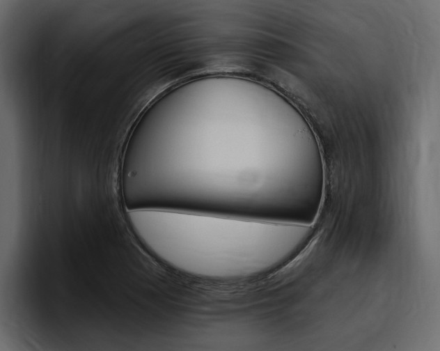 X0000097491177200802220834