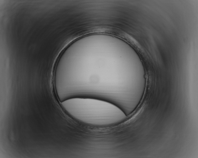 X0000097491178200802220834