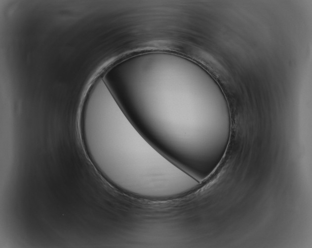 X0000097491180200802220834