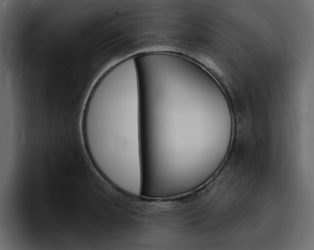 X0000097491181200802220834