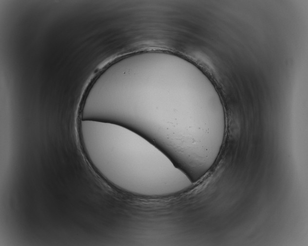 X0000097491182200802220834