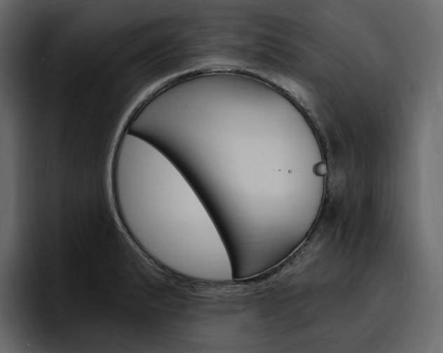 X0000097491183200802220834