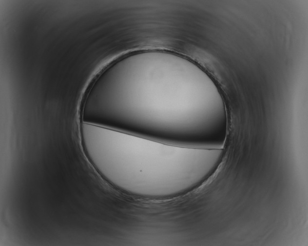 X0000097491184200802220834
