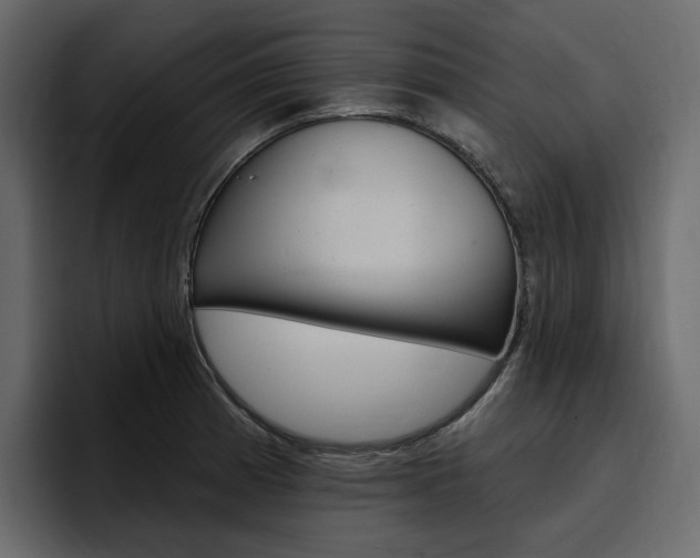 X0000097491185200802220834