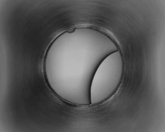 X0000097491186200802220834