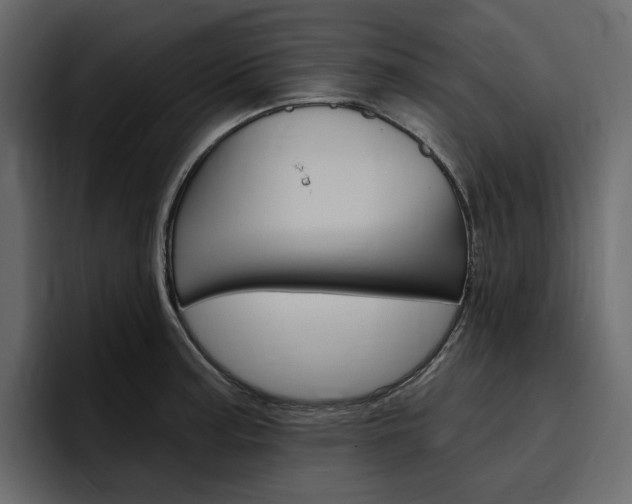 X0000097491187200802220834