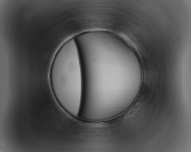 X0000097491189200802220834