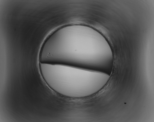 X0000097491191200802220834