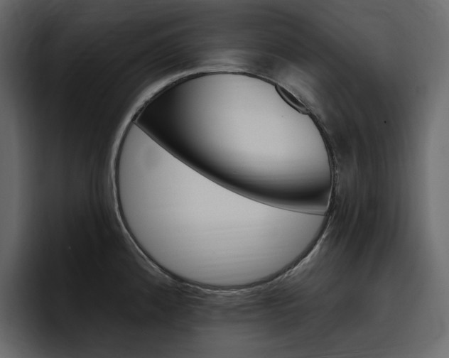 X0000097491192200802220834