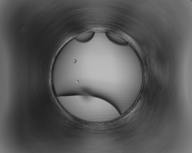 X0000097491194200802220834