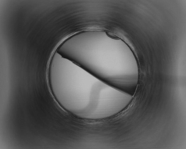 X0000097491195200802220834
