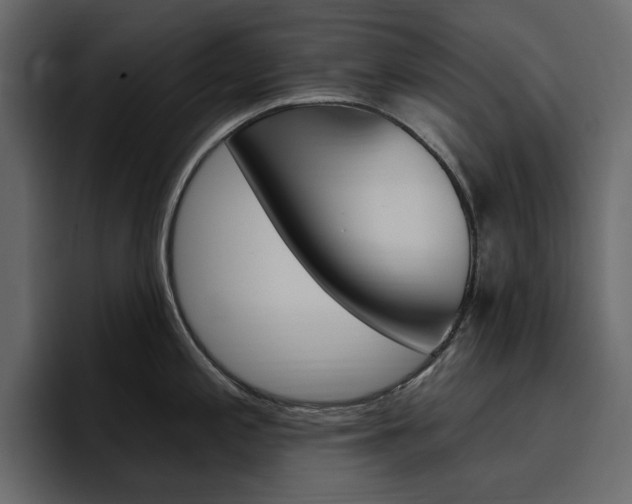 X0000097491197200802220834