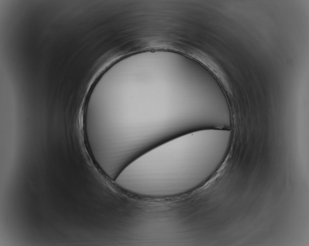 X0000097491198200802220834