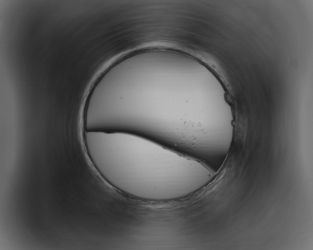 X0000097491199200802220834