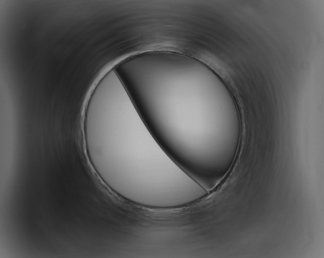 X0000097491200200802220834