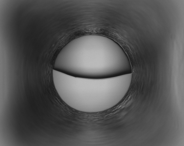 X0000097491202200802220833