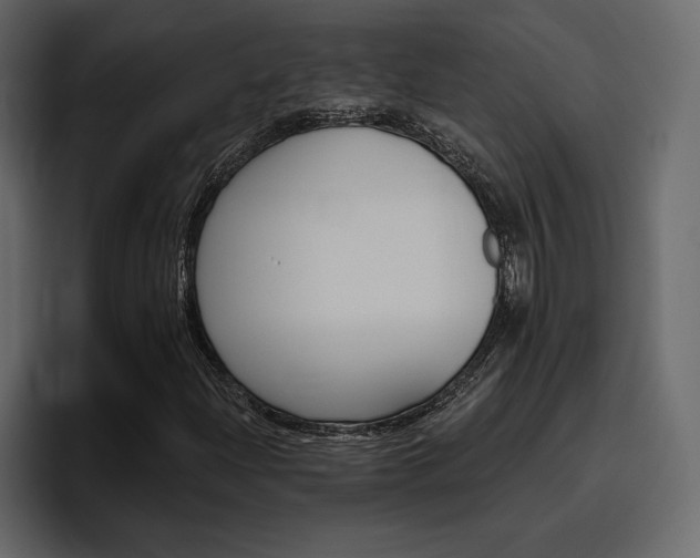 X0000097491204200802220834