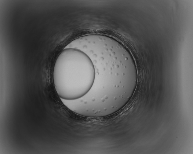 X0000097491205200802220834