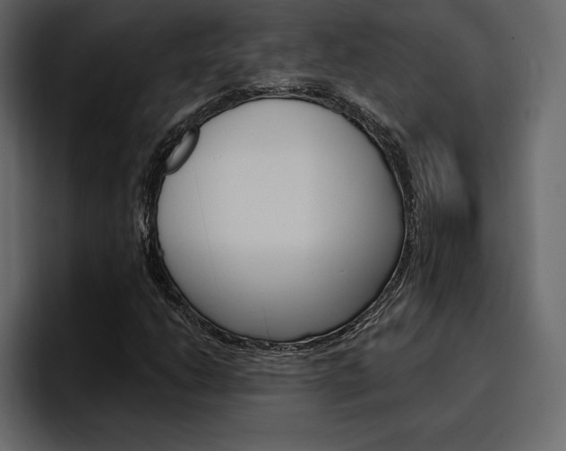 X0000097491206200802220834