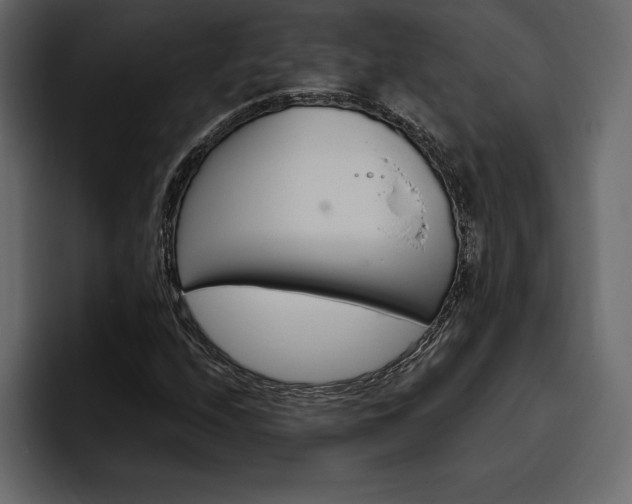 X0000097491208200802220834
