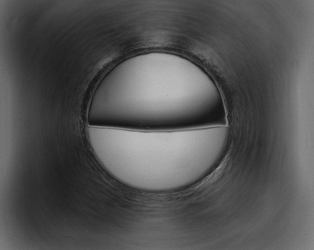 X0000097491210200802220834