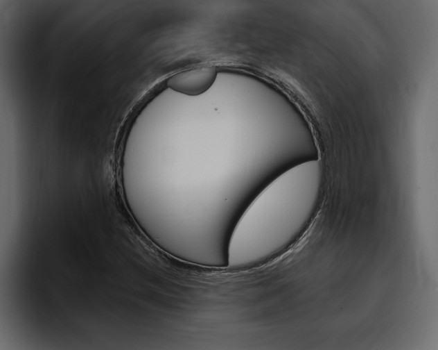 X0000097491212200802220834