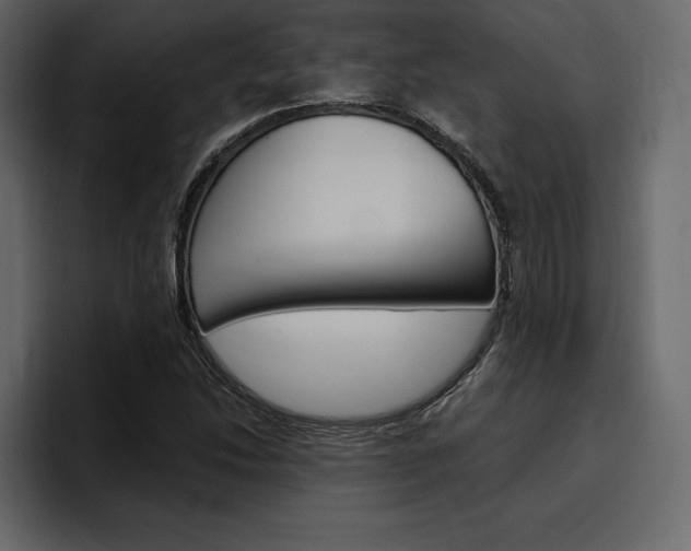 X0000097491214200802220834