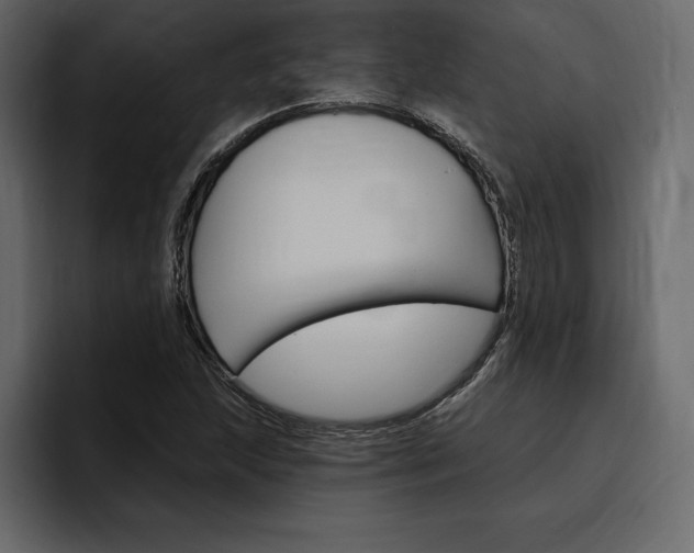 X0000097491215200802220834