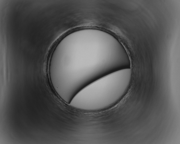 X0000097491216200802220834