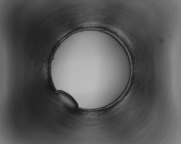 X0000097491217200802220834