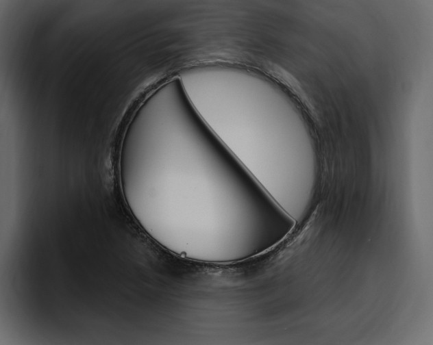 X0000097491218200802220834