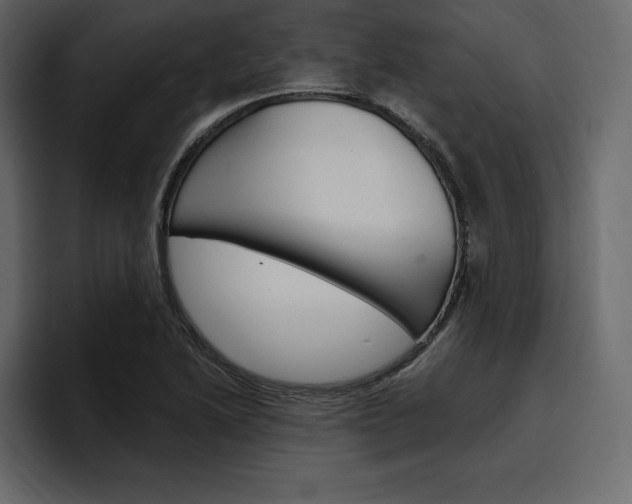 X0000097491222200802220834