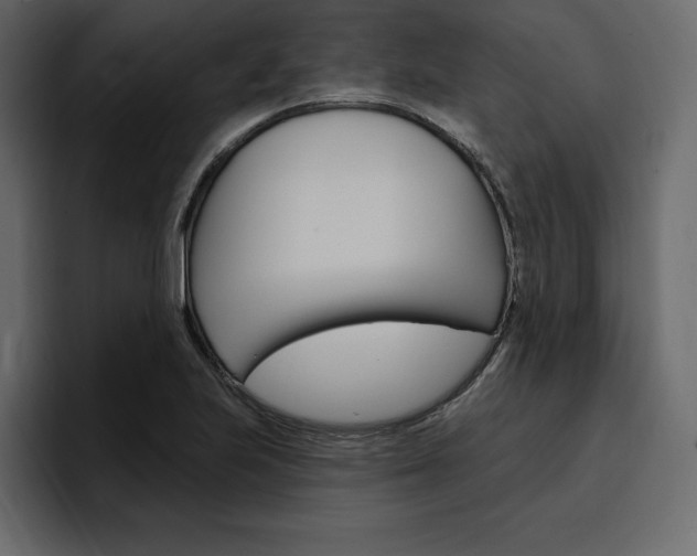 X0000097491223200802220834