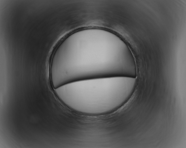 X0000097491224200802220834
