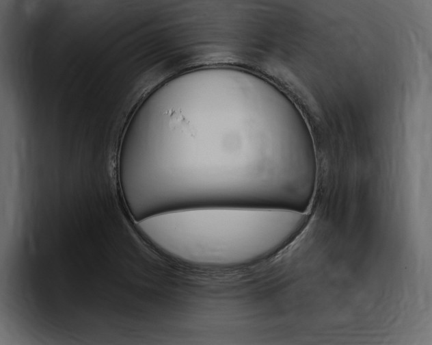 X0000097491225200802220834