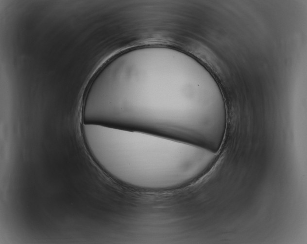 X0000097491228200802220834