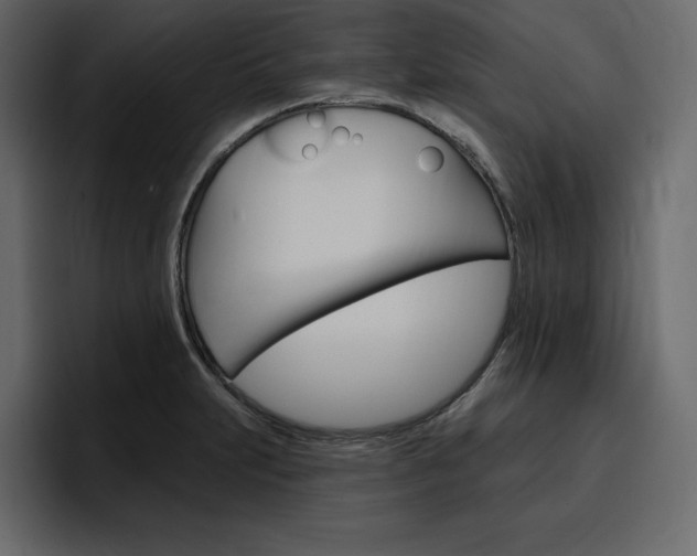 X0000097491231200802220834