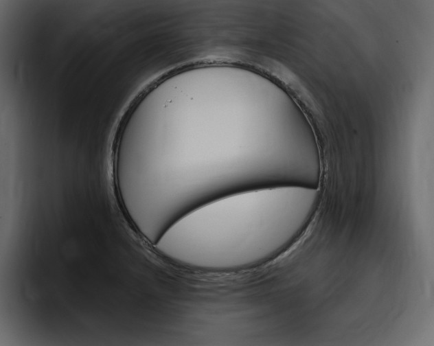 X0000097491232200802220834