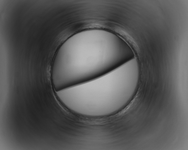 X0000097491233200802220834